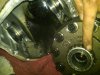 IMG00372-20111121-1652.jpg
