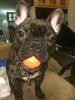 Bugsy 2.jpg