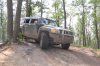 DSC_0206.jpg