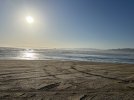 IMG_1823.jpeg
