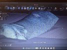 IMG_7959.jpeg