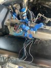 IMG_8144.jpeg