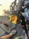 IMG_8193.jpeg