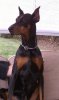IMAG0115.jpg