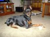 DSC01773.jpg