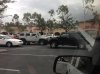 mall crawlin.jpg mall crawlin.jpg
