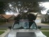 yak rack front.jpg
