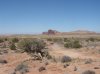 DSC01584.jpg