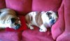 2012-07-05 15.25.45.jpg