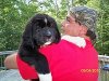 puppy charlotte 2.jpg