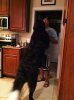 Dancing puppy 3.jpg