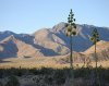 View from Camp.jpg