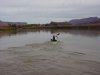 steve2013 011.jpg