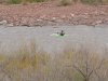 steve2013 026.jpg