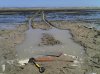 2012-09-08_14-16-06_535.jpg 2012-09-08_14-16-06_535.jpg