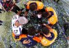 praying-seahawks-broncos-mike-morgan.jpg